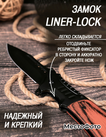 Пример успешной реализации услуги фотоинфографика на МестоФото.РФ — наш профессионал создаст для вас уникальные и запоминающиеся материалы